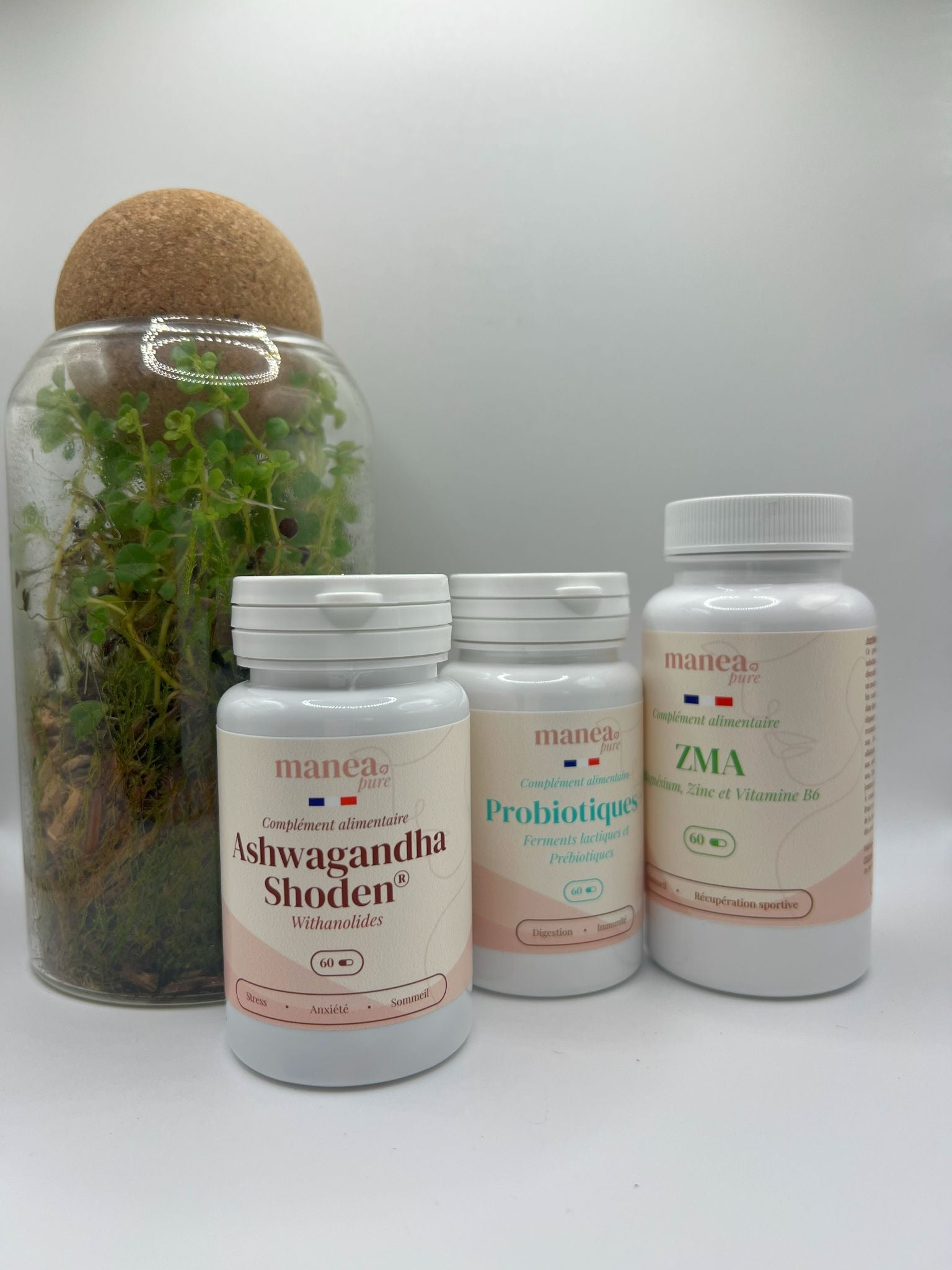 Pack Zen Recovery Manea Pure